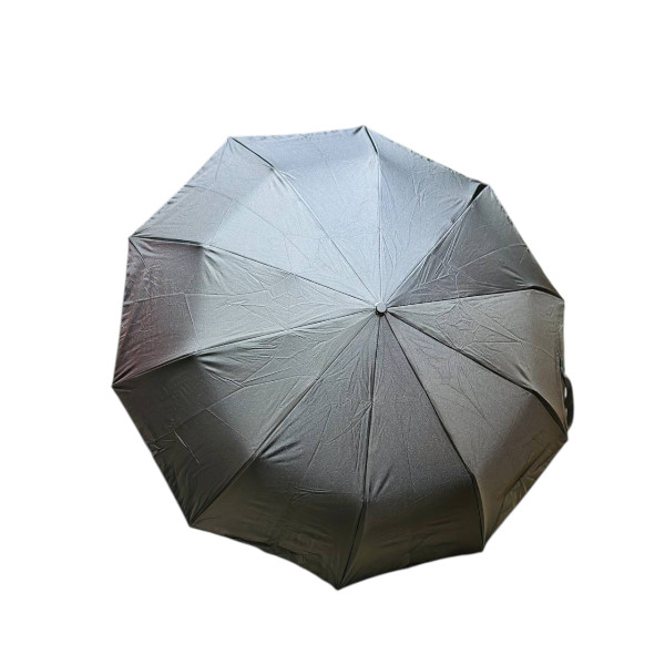 Premium 10-Ribs Automatic Folding Umbrella With Hanger Handle