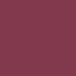 Swiss Beauty Bold Matte LipLiner - 11 Purple (China)