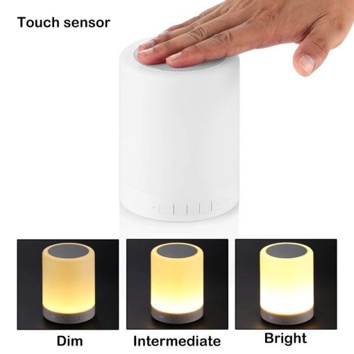 Touch Lamp Portable Bluetooth Speaker with Smart Colour Changing Touch Mode Night Lamp