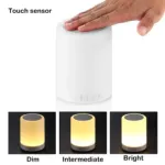 Touch Lamp Portable Bluetooth Speaker with Smart Colour Changing Touch Mode Night Lamp
