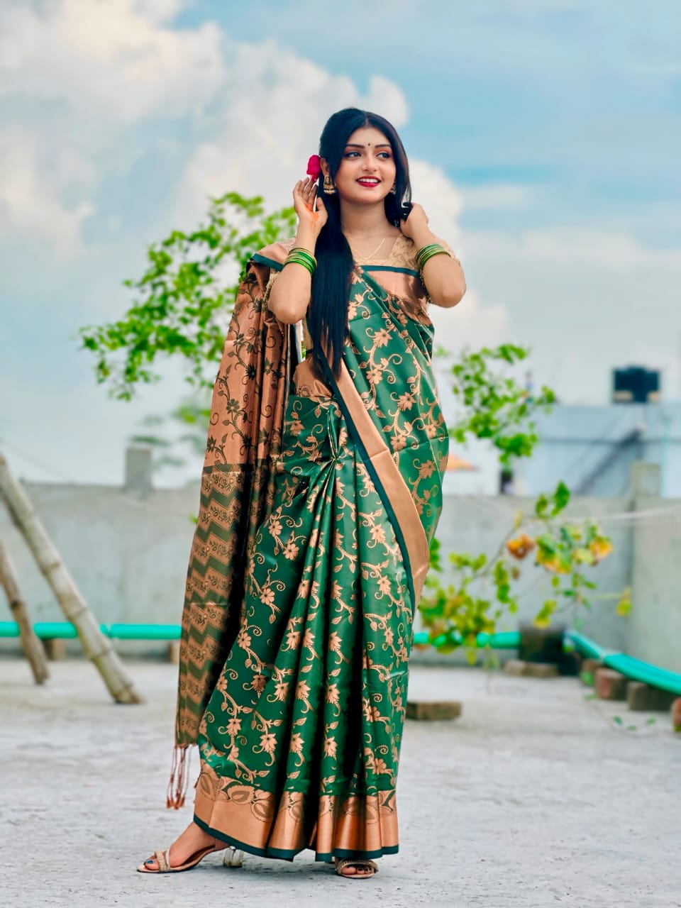 Full Body Zari Banarasi Katan Saree, 12 Haath, No Blouse