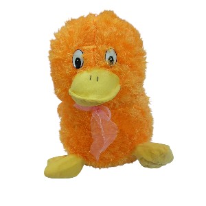 Duck Teddy for kig