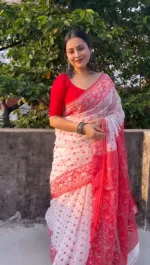 Resham Silk Saree for Women, Screen Print and Dollar Blouse