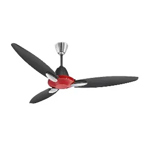 Usha Bloom Daffodil 50'' (Red & Black) U-187