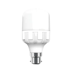 Walton 20 Watt AC LED Light