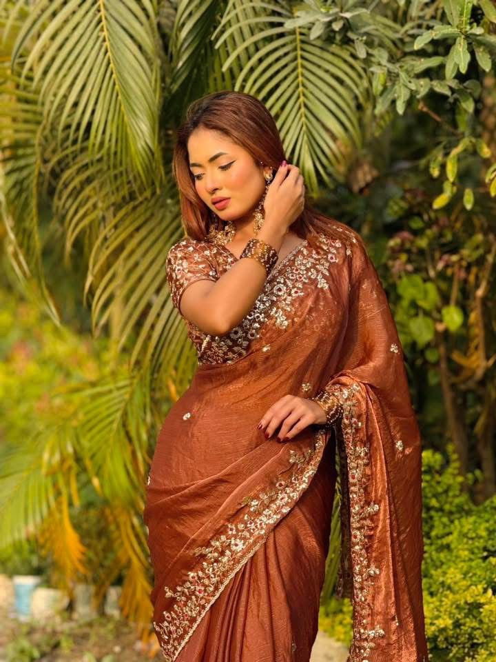 Women's Wedding and Party Saree, Glossy Fabric with Sequin Work