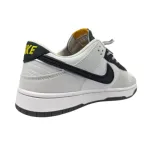 Nike Dunk Low Retro-AES 105