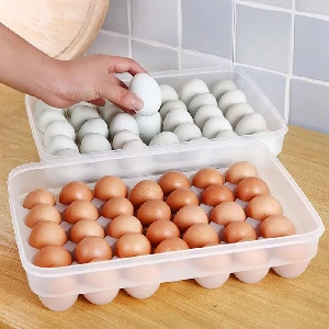 34 Gird Egg Storage Box
