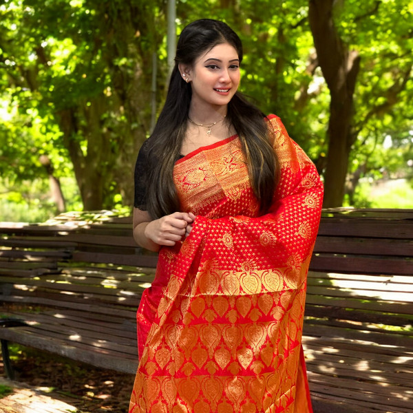 Katan Banarasi saree