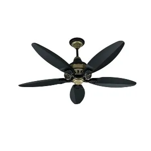SK Grace 56" Inverter with Remote Ceiling fan Black Gold SK-205