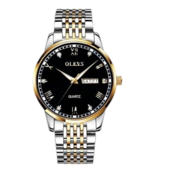 OLEVS 6602 Luxury Watch