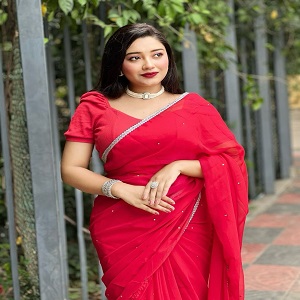 New Main materials georgate stone saree