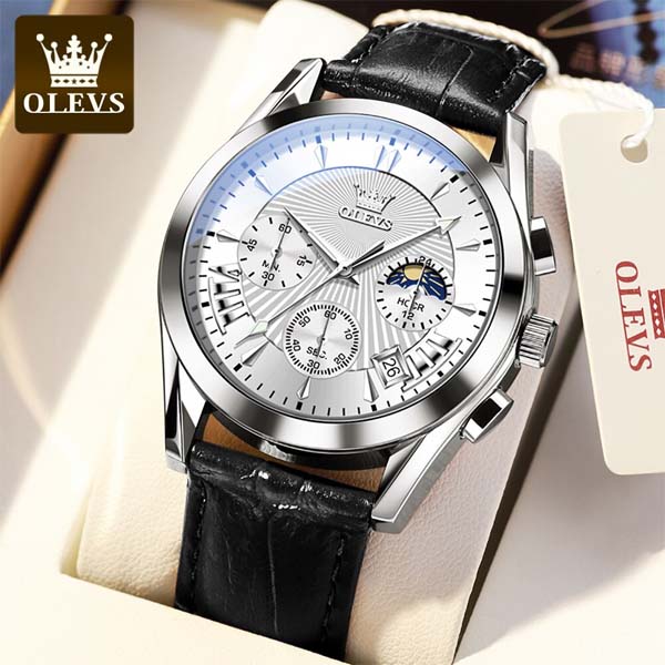 OLEVS 2876 Men’s Quartz Watch