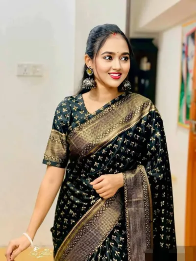 Silk Saree with Screen Print and Matching Blouse, 4 Colours
