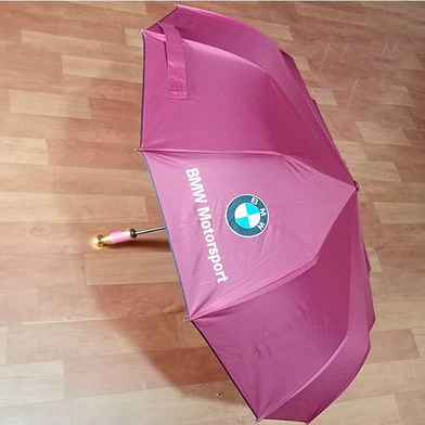 BMW Windproof 12 Sticks Auto Open and Close Umbrella