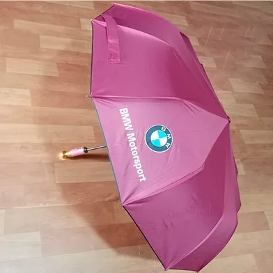 BMW Windproof 12 Sticks Auto Open and Close Umbrella