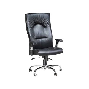 Regal Office chair- Swivel CSC-212-2-1-66