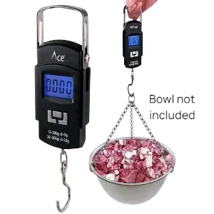 Portable Digital Weight Scale