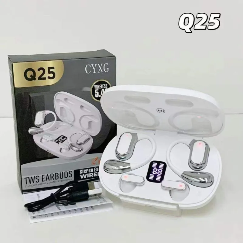 Q25 2-in-1 Couple Earbuds with Soft Ear Hooks, ANC & LED Display