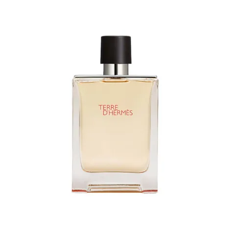 Terre D’hermes EDT for Men – 100ml (France)