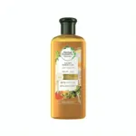 Herbal Essence Bio Renew Golden Moringa Oil Smooth Shampoo 400ml (Saudi Arabia)