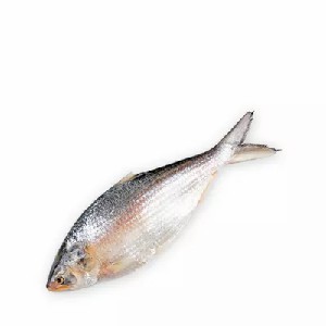 Whole Hilsha Fish (Asto Ilish) ± 50 gm