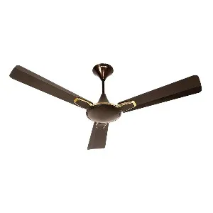 Crompton Aura 2 Prime 48" (Bakers-Brown) C-209