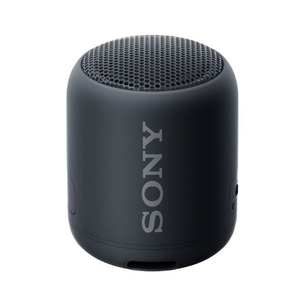 Sony SRS-XB12 Portable Wireless Speaker