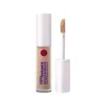 Jcat Stay Surance Water-Sealed Zero-Smudge Concealer - SHC108 Buff (Korea)