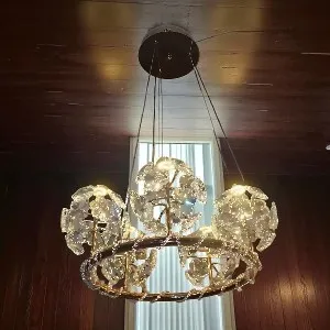 Qulik Modern Chandelier Decorative Hanging 5 head ring electroplating LED Ceiling Light