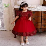 Girls' AC Net Pori Dress with Sequin Work, Ages 1 to 8