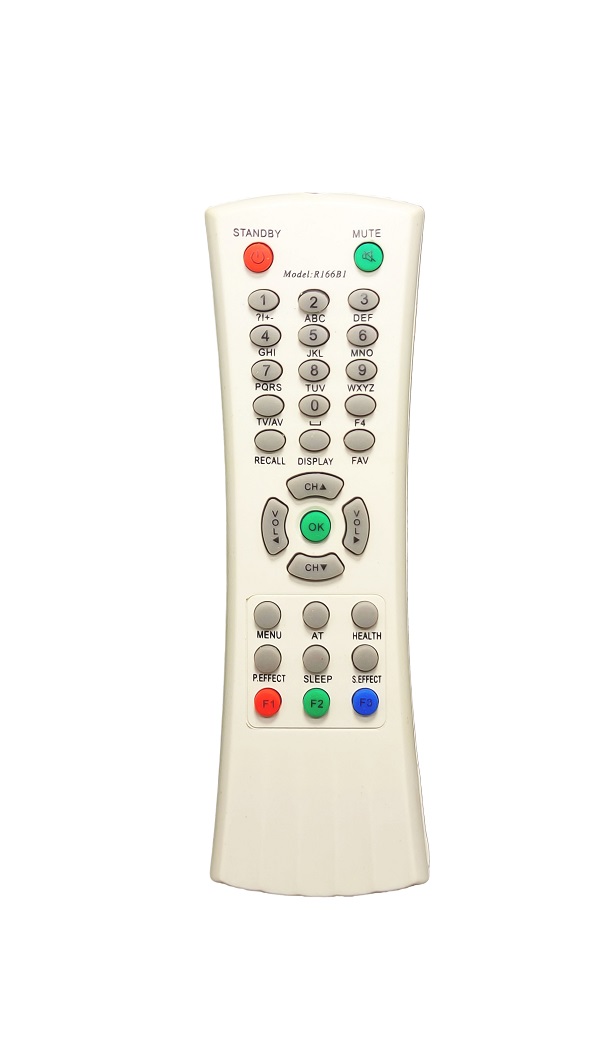 TV Remote R166B1