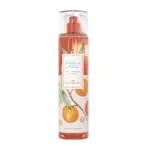 Bath & Body Works Pretty As a Peach Fine Fragrance Mist 236ml (USA)