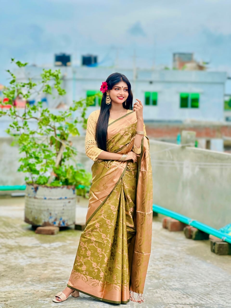 Full Body Zari Banarasi Katan Saree, 12 Haath, No Blouse