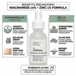 The Ordinary Niacinamide 10% Zinc 1% 30ml (Canada)