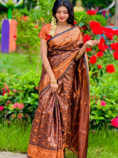 Women's Banarasi Silk Katan Saree, Golden Thread, 3 Colours