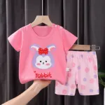 Baby Pure Cotton T-Shirt and Pant Combo Set, 6M to 18-24M