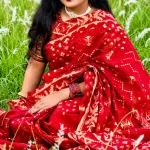 Premium Deep Red and Golden Zari Block-Print Cotton Saree