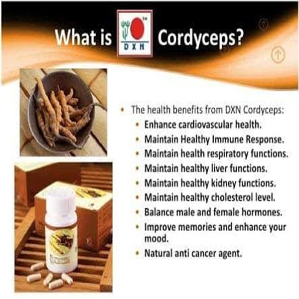 DXN Cordyceps Tablets (120 Pieces)