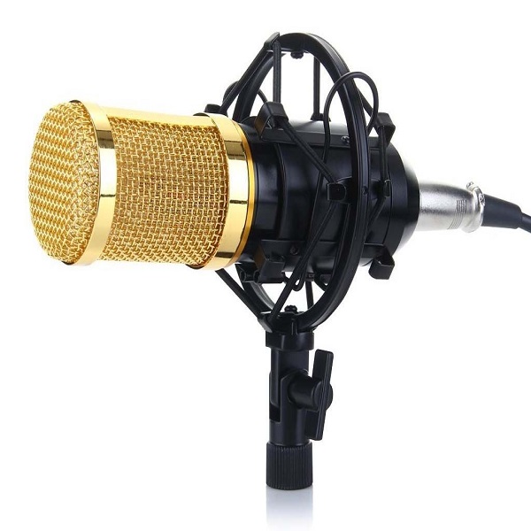 BM800 Condenser Microphone