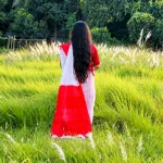 Traditional Red and White Cotton Handloom Saree for Durga Puja