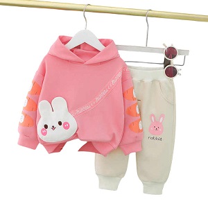 Baby Hoodie and Full Pant Set