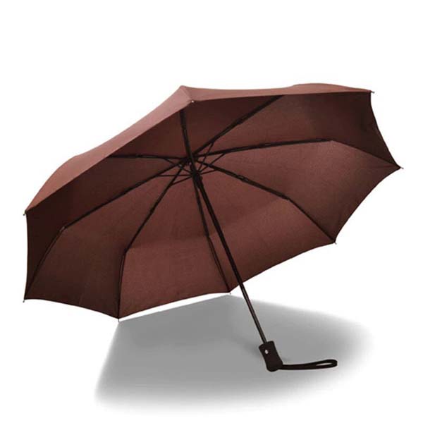 Auto Open Close Windproof Umbrella