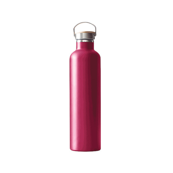 Thermo Travel Flask-Radiant 600 ML Assorted