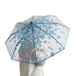 Transparent Umbrella