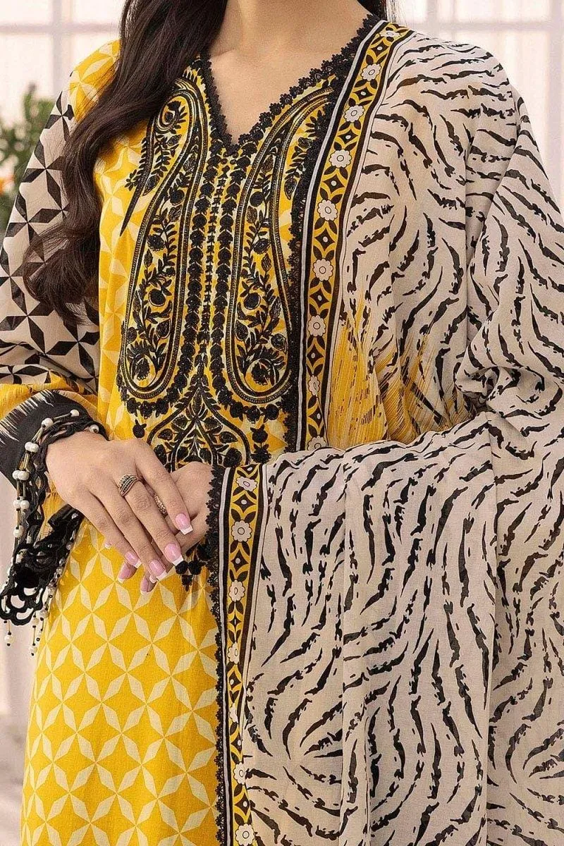 Digital Print Lace Three Piece, Sizes L to XXL, 3 Colours