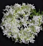 Artificial Hair Flower For Woman  (Gajra flower)