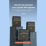 SX9 Dual Wireless Microphone For Type C