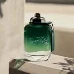 COACH New York Green Eau De Toilette Spray 100ml (France)