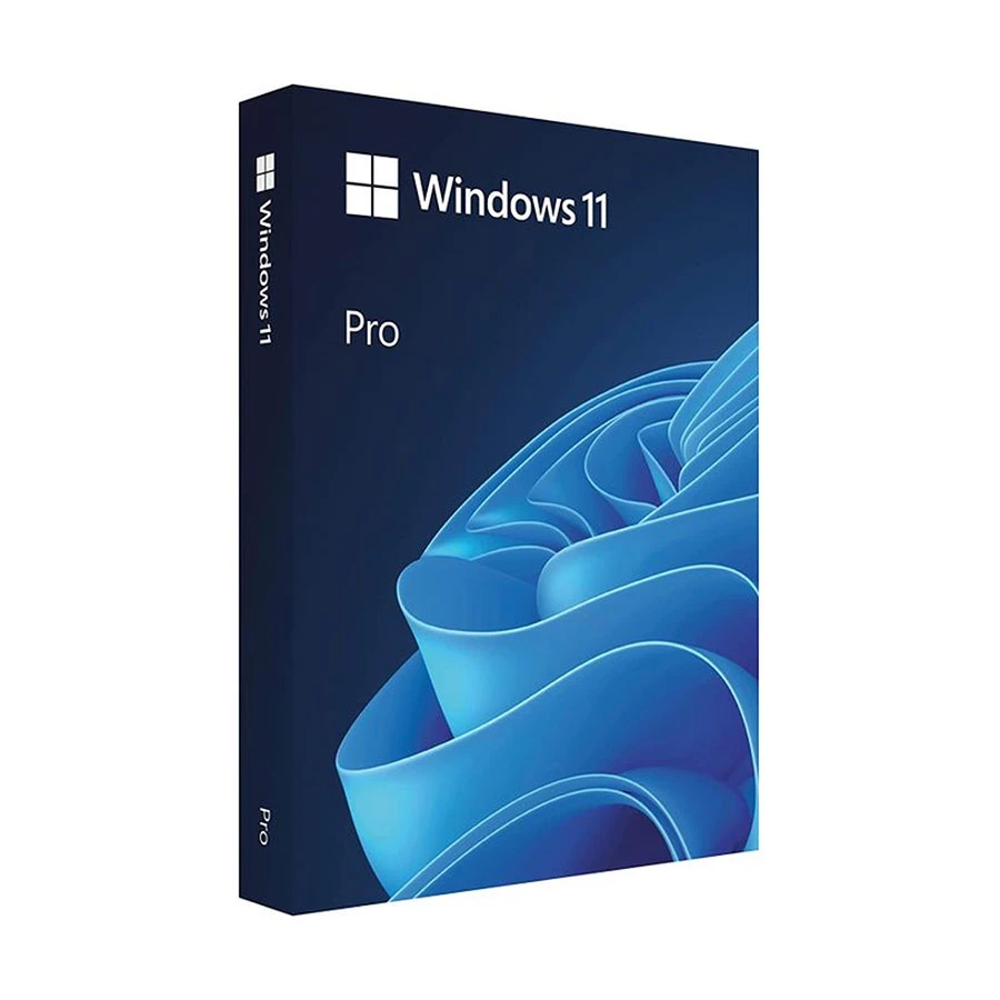 Microsoft Windows 11 Professional 64 Bit ENG Intl USB
